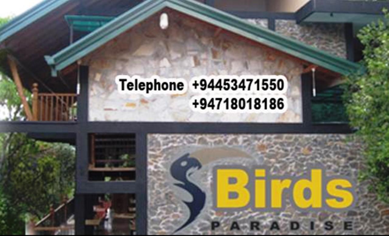 Birds Paradise Hotel Kudawe Buitenkant foto