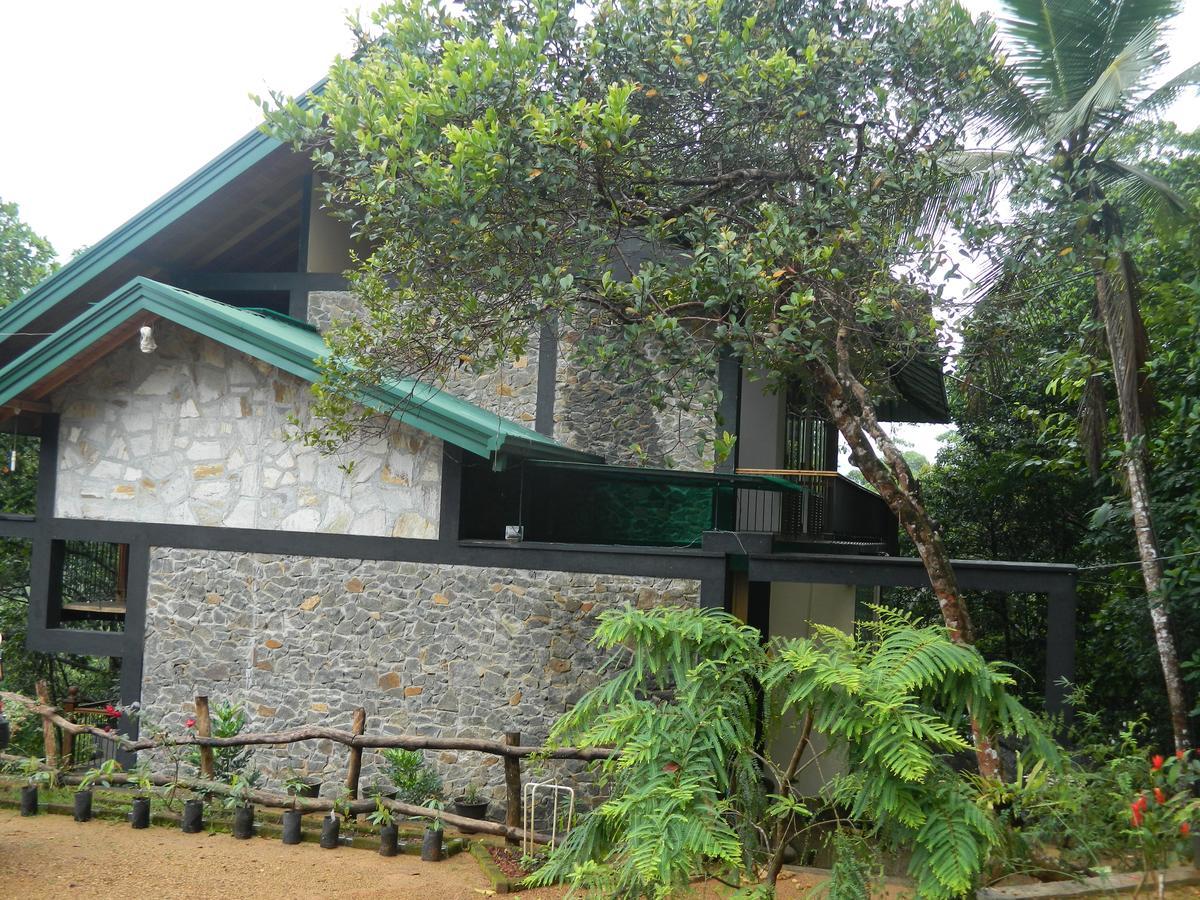 Birds Paradise Hotel Kudawe Buitenkant foto