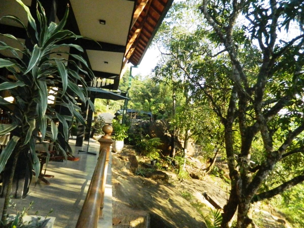Birds Paradise Hotel Kudawe Buitenkant foto